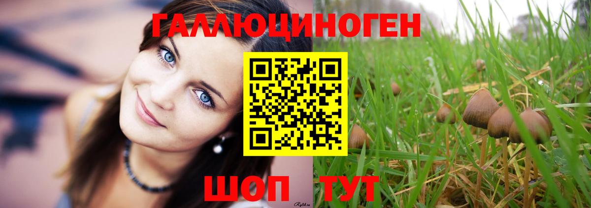 Псилоцибиновые грибы мицелий Ипатово